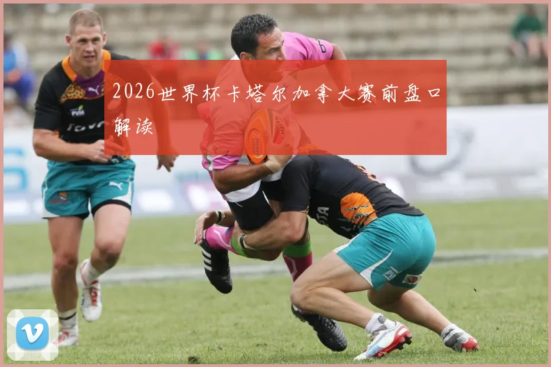 2026世界杯卡塔尔加拿大赛前盘口解读