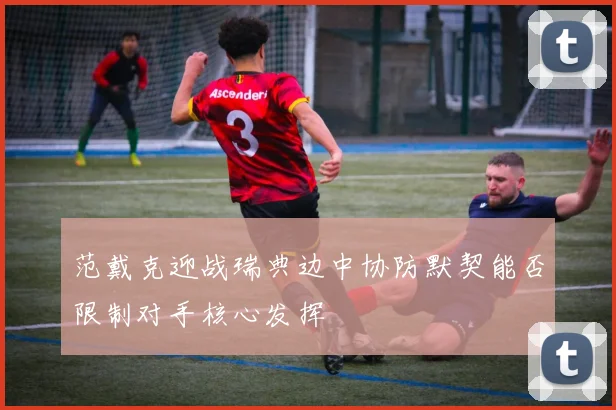 范戴克迎战瑞典边中协防默契能否限制对手核心发挥