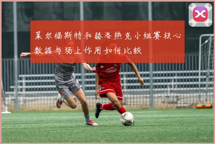 莱尔福斯特和赫洛热克小组赛核心数据与场上作用如何比较