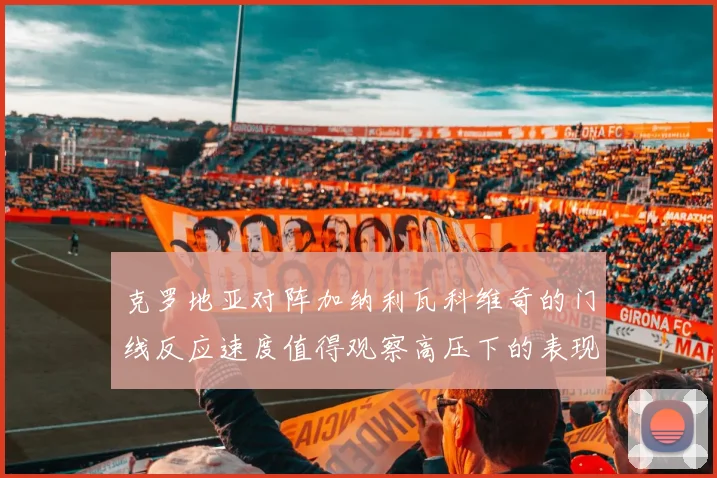 克罗地亚对阵加纳利瓦科维奇的门线反应速度值得观察高压下的表现