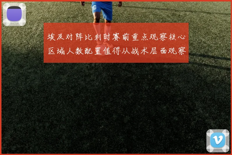 埃及对阵比利时赛前重点观察核心区域人数配置值得从战术层面观察