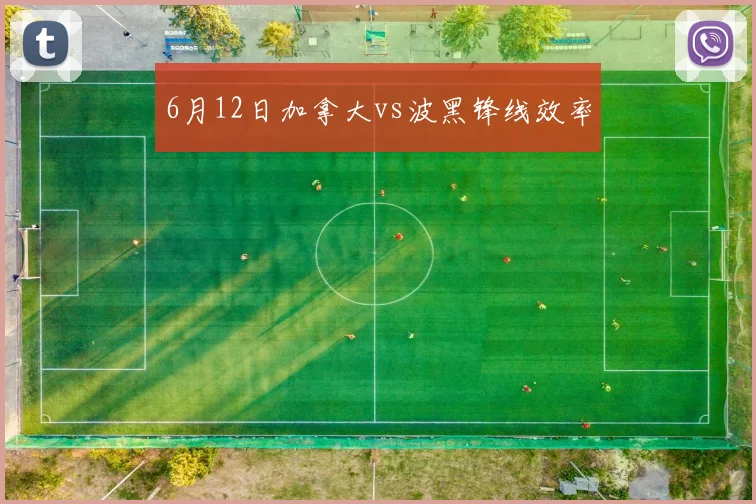 6月12日加拿大vs波黑锋线效率
