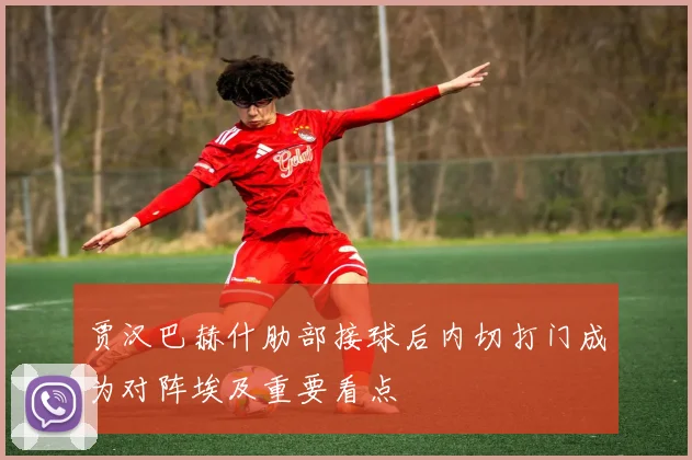 贾汉巴赫什肋部接球后内切打门成为对阵埃及重要看点