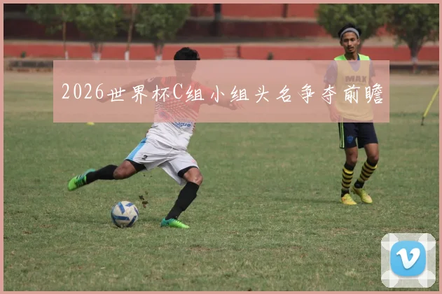 2026世界杯C组小组头名争夺前瞻