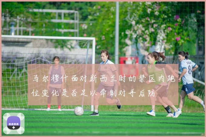 马尔穆什面对新西兰时的禁区内跑位变化是否足以牵制对手后防