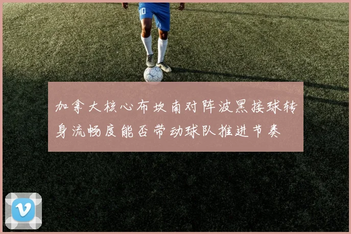加拿大核心布坎南对阵波黑接球转身流畅度能否带动球队推进节奏