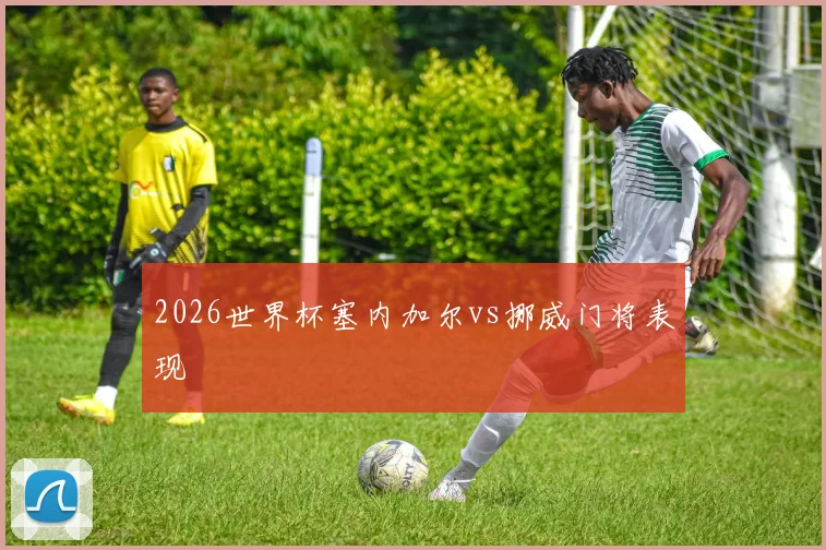 2026世界杯塞内加尔vs挪威门将表现