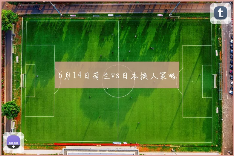 6月14日荷兰vs日本换人策略