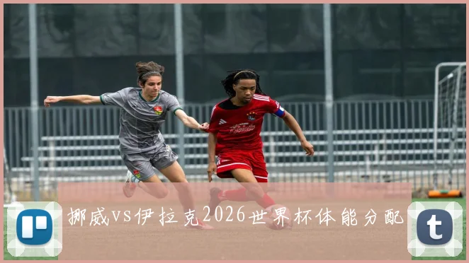 挪威vs伊拉克2026世界杯体能分配