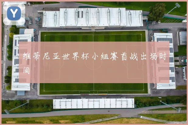 维蒂尼亚世界杯小组赛首战出场时间