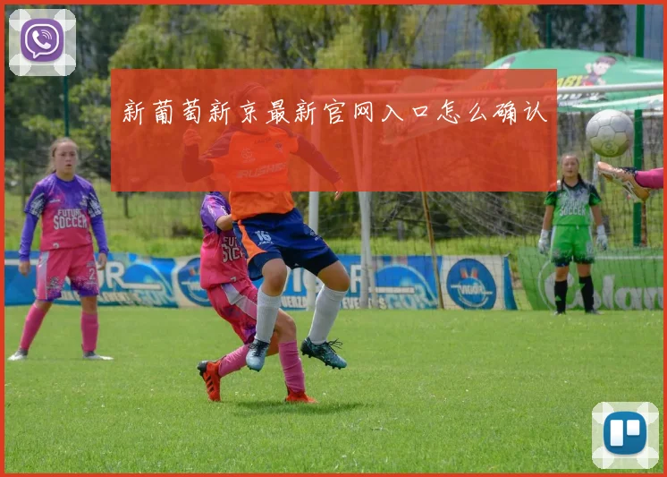 新葡萄新京最新官网入口怎么确认