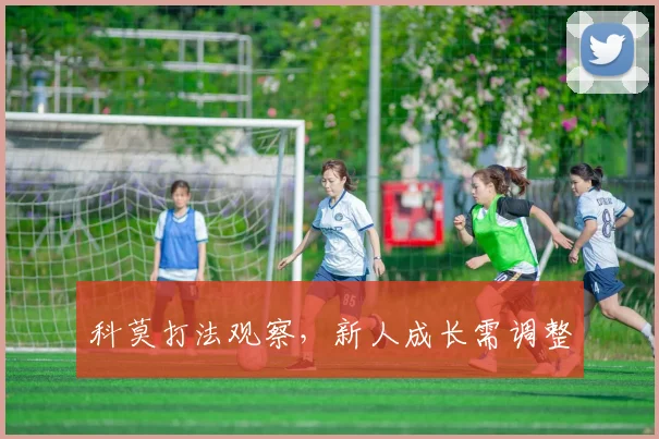 科莫打法观察，新人成长需调整