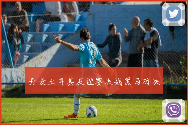 丹麦土耳其友谊赛决战黑马对决