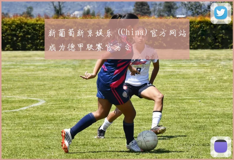 新葡萄新京娱乐 (China)官方网站成为德甲联赛官方合